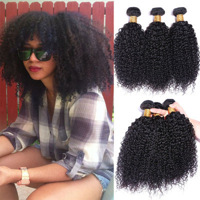 Brazilian Kinky Curly Human Hair Wig – 100% Real Hair, Lace Front, Wholesale